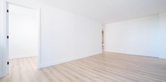 LIBRE - Face au Collège Bois-de-Boulogne Ahuntsic Montreal - appartement/ logement à louer - Photo 2
