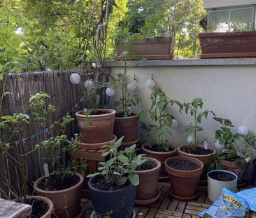 21/2-ROOM APARTMENT IN BERN – ELFENAU/BRUNNADERN, FURNISHED, TEMPORARY - Photo 3