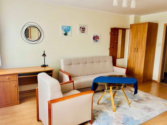 Mieszkanie do wynajęcia 1 pokoje Stanisława Szczepanowskiego, Poz 28.8 m² - Фото 1