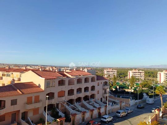 Elche / Elx - Photo 1