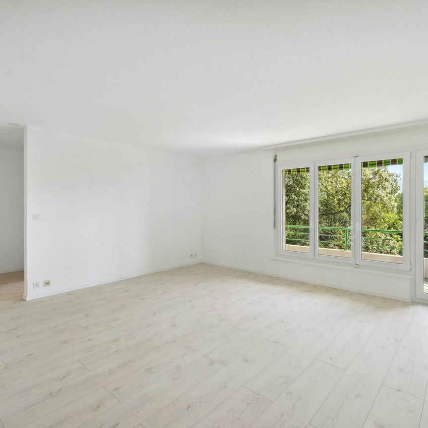 APPARTEMENT À LOUER DANS QUARTIER TRÈS ENSOLEILLÉ ET FAMILIAL - Photo 1