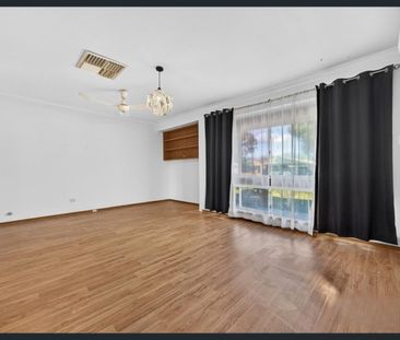 Family Living with Pool & Outdoor Entertaining Available for Lease ... - Photo 3