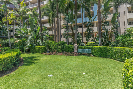 A7/41 Gotha Street, Fortitude Valley QLD 4006 - Apartment For Rent | Domain - Photo 3