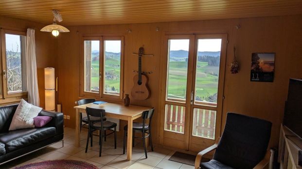 4-ROOM HOUSE IN ROHRBACHGRABEN (BE), FURNISHED, TEMPORARY - Photo 1