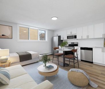 Parklane Manor Apartments – 114 Street NW — Renovated Studio Apartm... - Photo 3