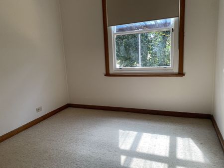 Three bedroom home nestled amongst the bushland - Photo 3