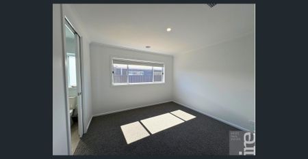 Brand New Afonso Home in Sought-After Warby Views Estate! - Photo 4