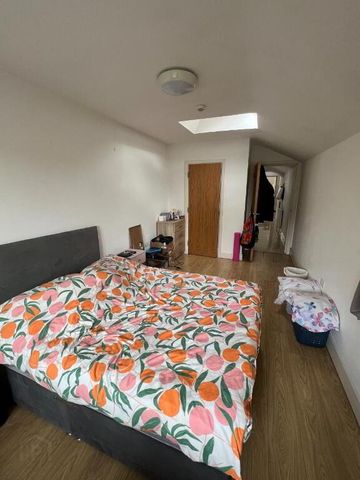 September Start Date, U4, 17 Eglantine Avenue, Belfast, BT9 6DW - Photo 2
