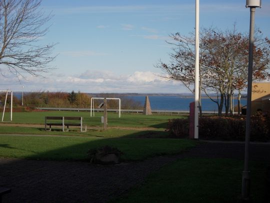 Violvej 169, 7800, Skive - Foto 1