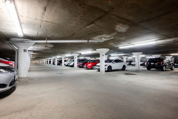 Regency Court Apartments - Kathleen - ALL INCLUSIVE - Photo 1