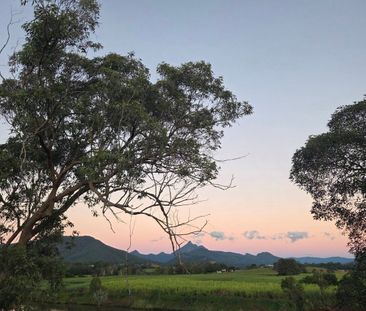 South Murwillumbah - Photo 4