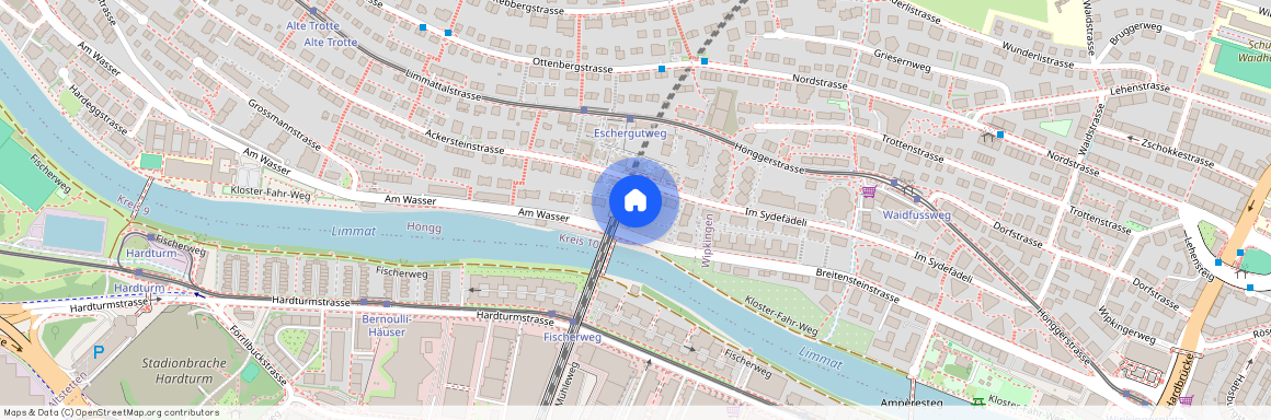 Ackersteinstrasse 13, 8049 Zürich, Lageplan