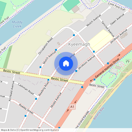 9 Caroma Avenue, NSW 2216, Kyeemagh