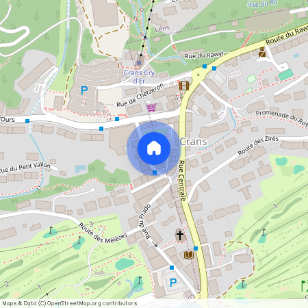 3963, Crans-Montana, Rue du Grand Place 5, 31