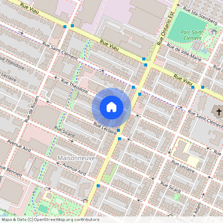 2020 Rue Théodore, Mercier-Hochelaga-Maisonneuve, Mercier-Hochelaga-Maisonneuve, Ile de Montréal, H1V 3T7