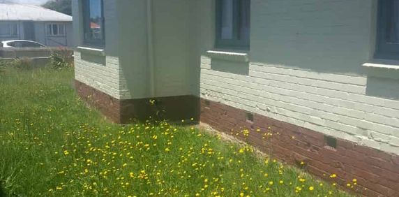 Cozy 3 Bedroom Home - Photo 2