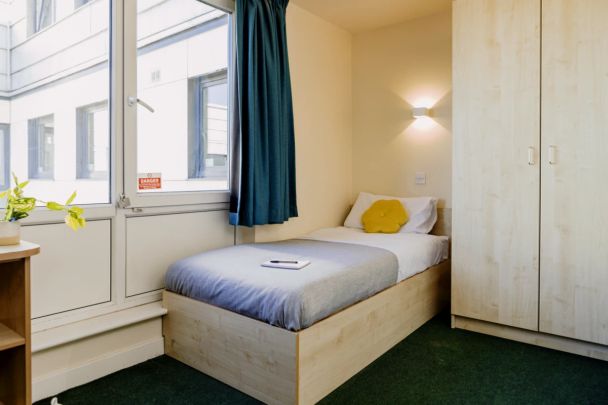 Bronze Plus - Photo 1