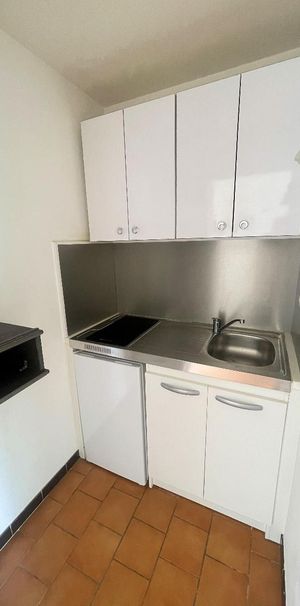 Location Appartement 1 pièce 20m² DIJON 21000 - Photo 1