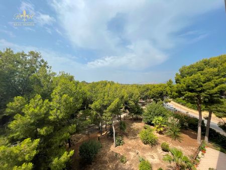 APARTAMENTO LARGA TEMPORADA ALFAZ DEL PI desde septiembre a finales de junio - Photo 3