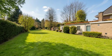 Woning te huur in Oudenaarde voor € 1.300 met 4 slaapkamers - Foto 3