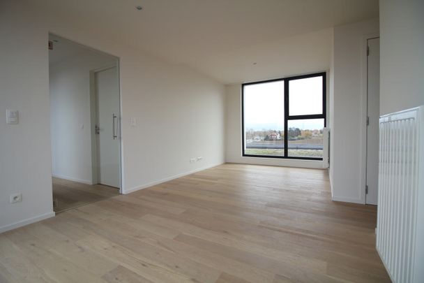 Apartments To Let 3 bedrooms direcly with the owner - Photo 1