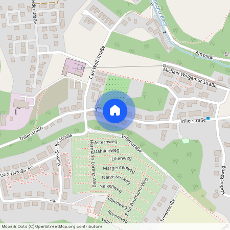 Trillerstraße, 08066 Zwickau