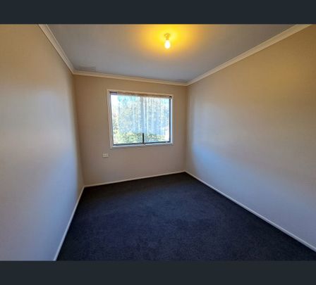8 Cyprus Place, West Albury, NSW 2640 - Photo 1
