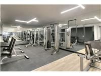 For Lease - 181 DUNDAS Street Unit# PH02, Toronto, Ontario - Photo 2