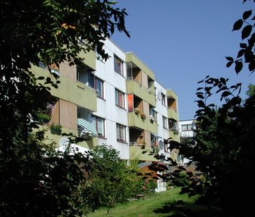 Langenfelde 143, 24159 Kiel OT Schilksee - Foto 1