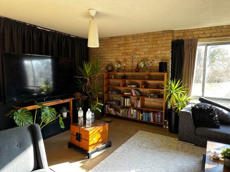 Watson - Photo 5