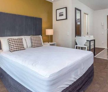 Modern Apartment in the Heart of Auckland - Photo 4