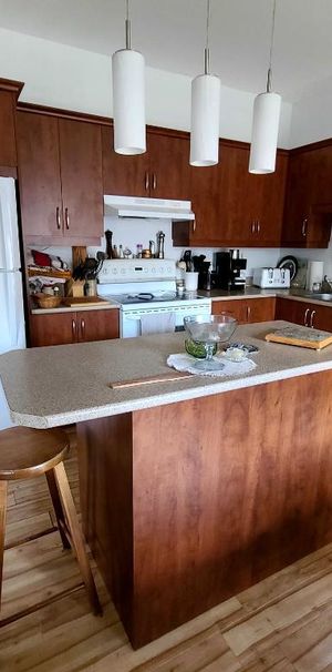 Appartement de rêve 4½, à louer à l’année 1500$/mois à Sutton - Photo 1