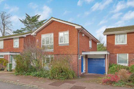 4 bedroom house to rent - Photo 5