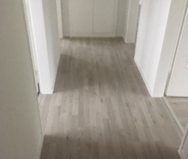 2 Zimmerwohnung ab sofort zu vermieten - Photo 5