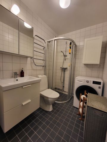 Jungfrudansen, Solna - Foto 3