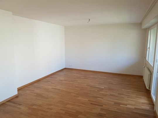 Bel appartement de 4 pièces dans quartier calme proche du lac ! - Photo 1