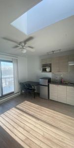 1 1/2 - Montréal (La Petite-Patrie) - 850 $/mois - Photo 3
