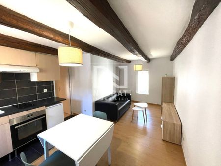 Location Appartement 1 pièce Meublé 27m² CHALON SUR SAONE 71100 - Photo 3