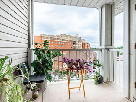 For Lease - 5225 Finch Avenue Unit# 430, Toronto, Ontario - Photo 3