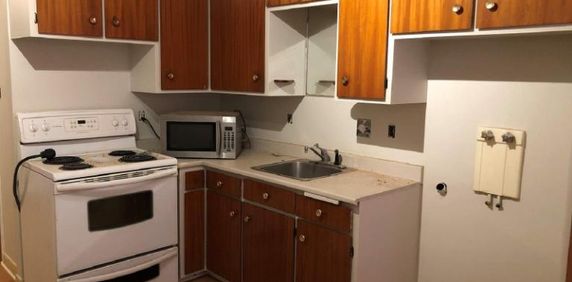 3 1/2 PRES METRO FRONTENAC et PREFONTAINE - Photo 2