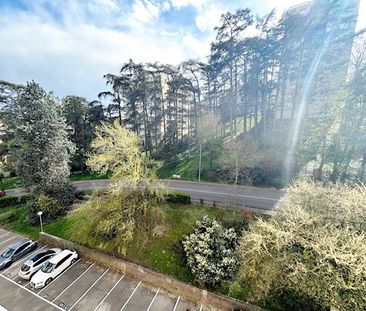 APPARTEMENT T4-OULLINS Oullins (69600) - Photo 5