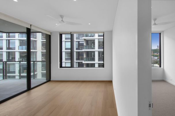 166 Barker Street, Randwick NSW 2031 - Apartment For Rent | Domain - Photo 1