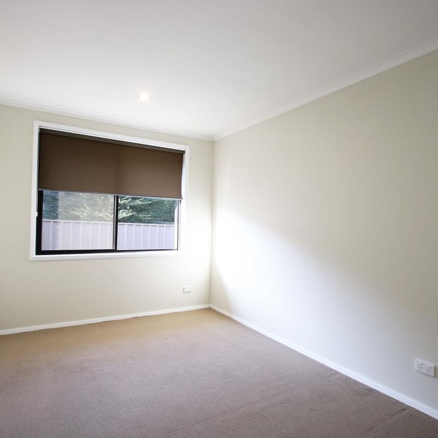 Renovated Two Bedroom Unit In East Albury - Photo 1