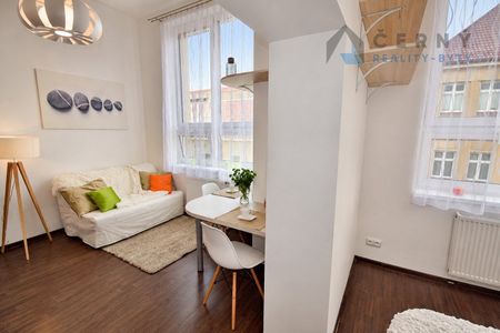 Pronájem bytu 1+1 27 m² - Photo 3