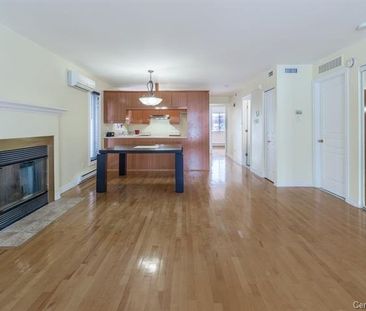 695 Rue Germaine-Guèvremont, H4N 3L1, Montréal - Photo 4