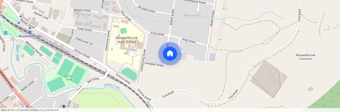 31 Brecht Street, NSW 2333, Muswellbrook