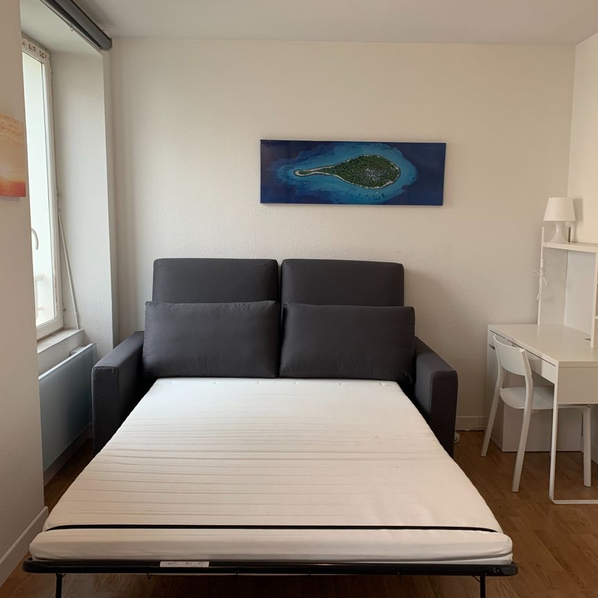 Location Appartement 1 pièce 17m² GRENOBLE 38000 - Photo 1
