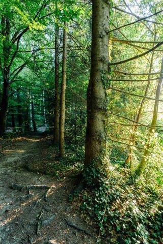 8047 Waltendorf 2-Zimmer Mietwohnung mit 2 Loggien im Grünen! - Foto 5