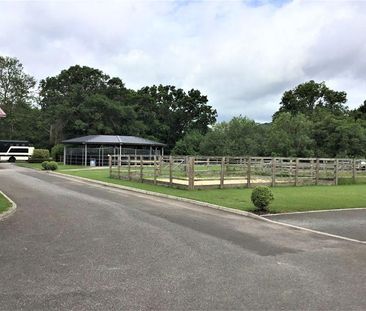 2 bedroom equestrian property to rent - Photo 6