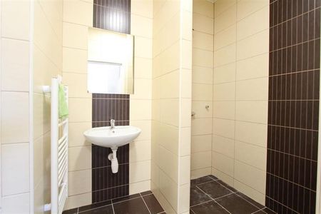 Pronájem bytu 1+kk a garsoniéry 53 m², Francouzská, Brno - Fotografie 3